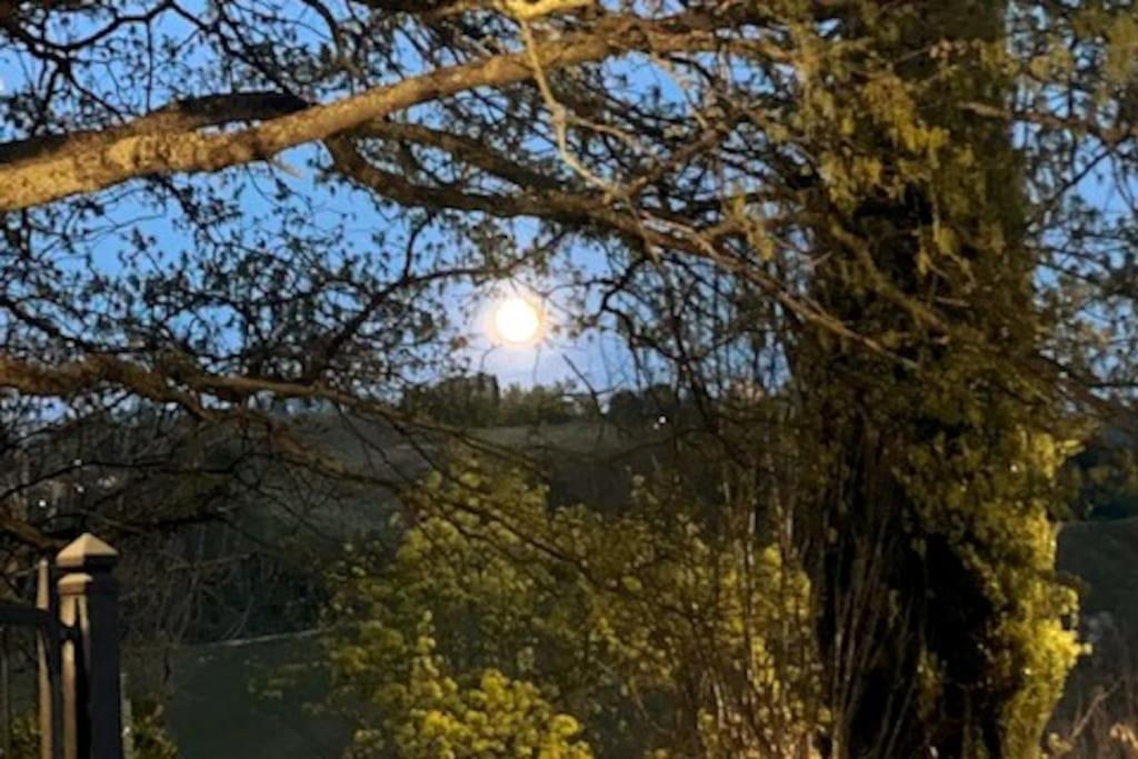 Cottage Sui Colli Bolognesi Dış mekan fotoğraf